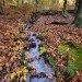 Hebden 311009_19